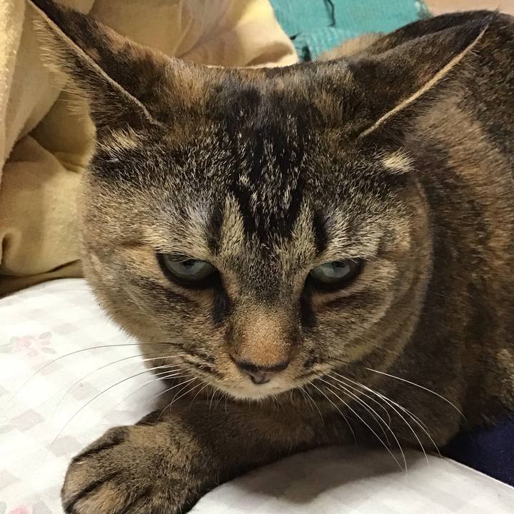 Bc1aea45 22d4 48ed b31c 8728df3886ba 1738475984443