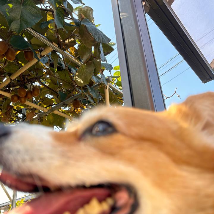 Bc1b10fc c625 4d0b beec b0e190cfdac1 1731552113914