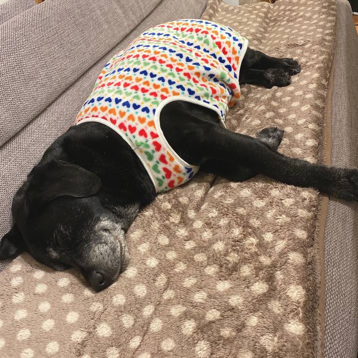 Bc1b33bd 8565 4ae2 8b75 86d776b1362c 1644762298986