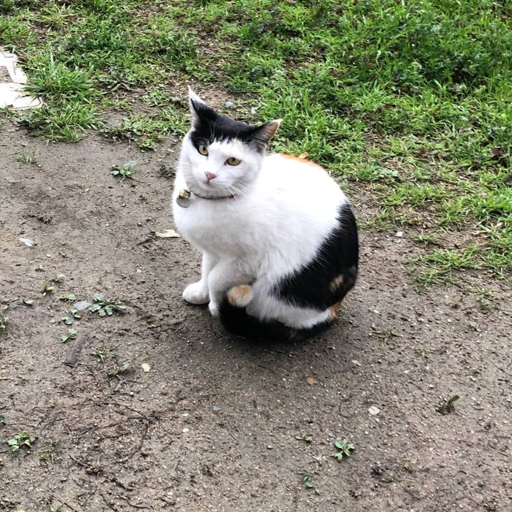 Bc1b3e1d 9f8c 4616 a7d1 ba381e6ef2fc 1616365232473