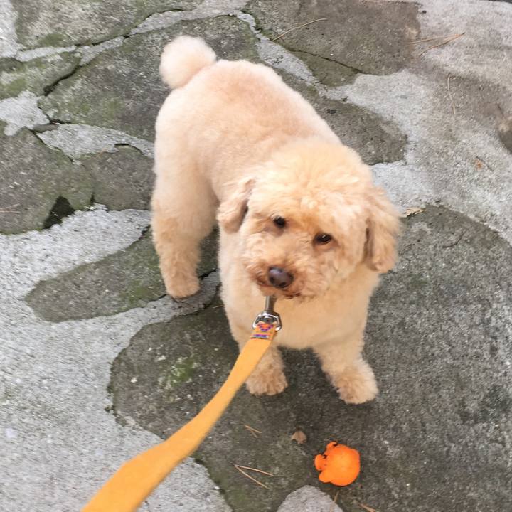 Bc1b3e84 db55 4838 a0de 4fbb68503d17 1514288061490