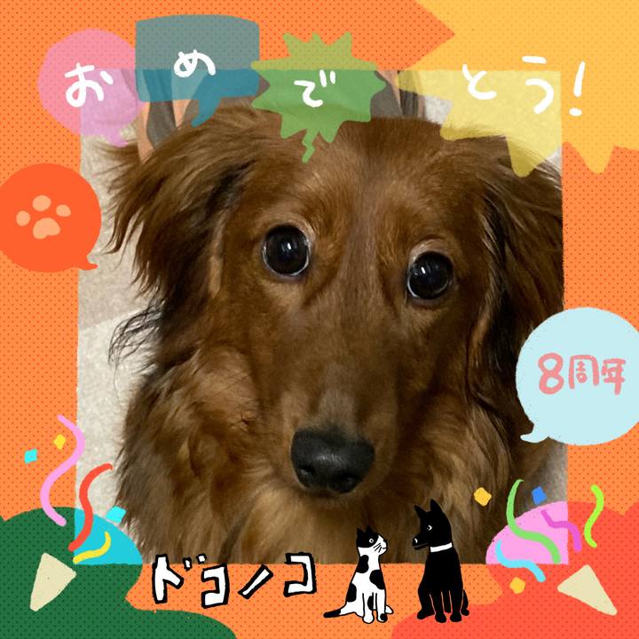 Bc1b4f3d db95 4240 96bf 8995cfd5eb85 1718018383638