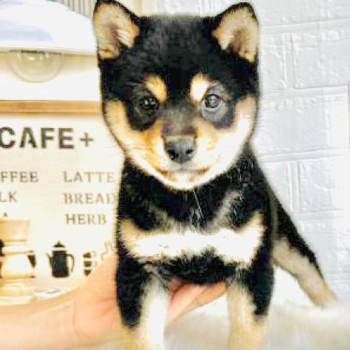 Bc1b67c3 334d 47b2 9cfe 3da6f9ca9a89 1679147197631