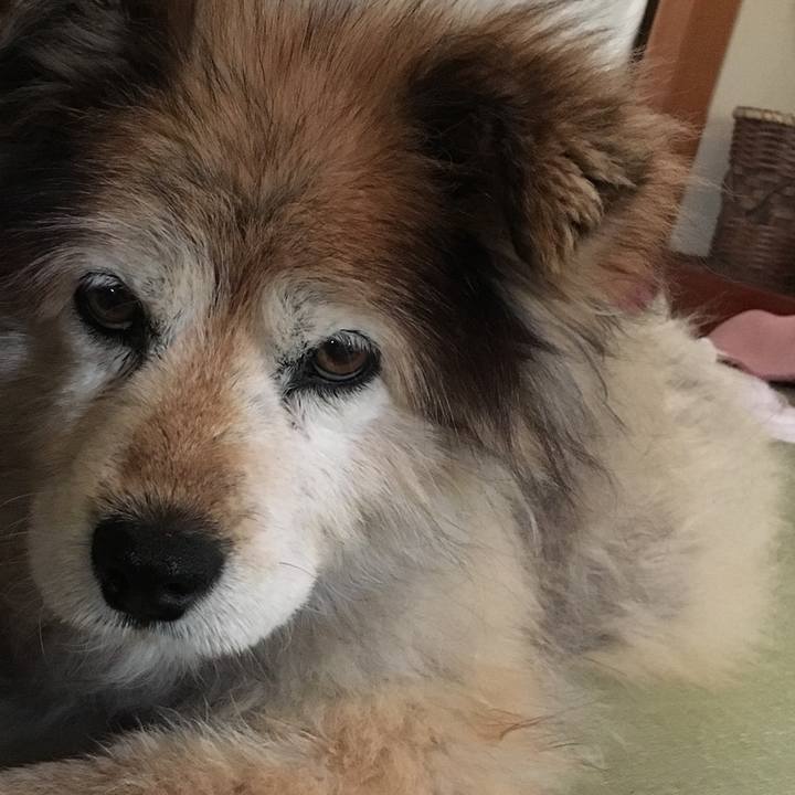 Bc1b721c 2b1a 4874 a308 8d53f9cbe2e4 1613030120077