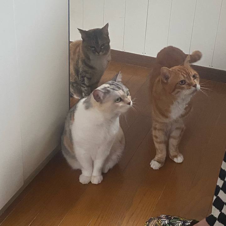 Bc1bab52 4ff6 4eeb 9566 0eb92323bc5c 1749713159239