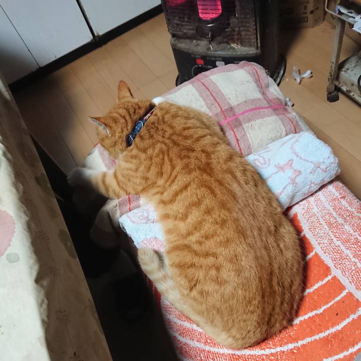 Bc1d10ae b36f 4c0c bb9f c67d229c913d 1606114436122