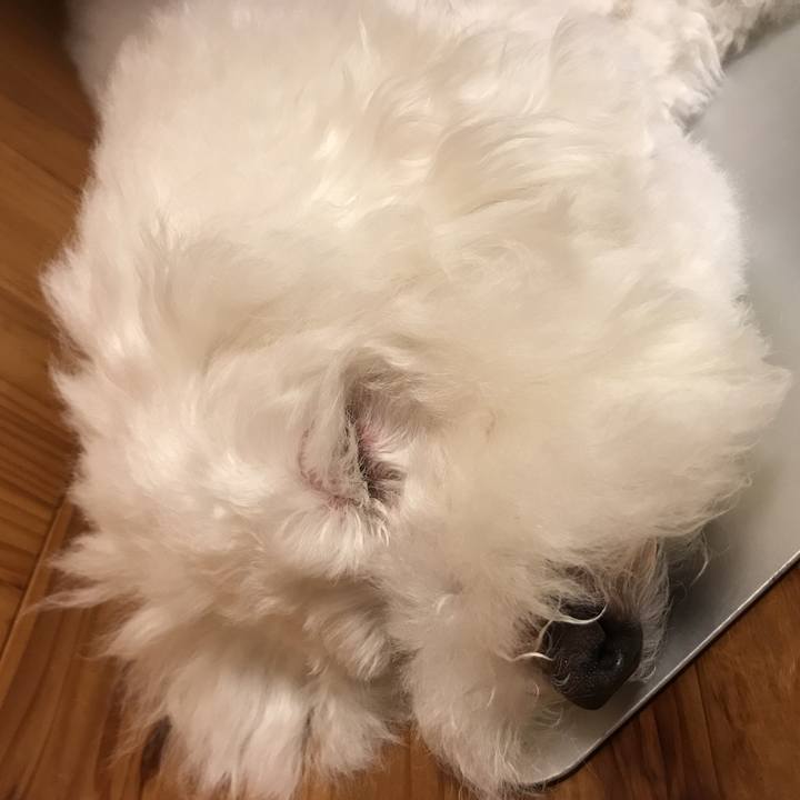 Bc1d73cb 5397 4147 add6 3e5dee9e72ac 1534166114522