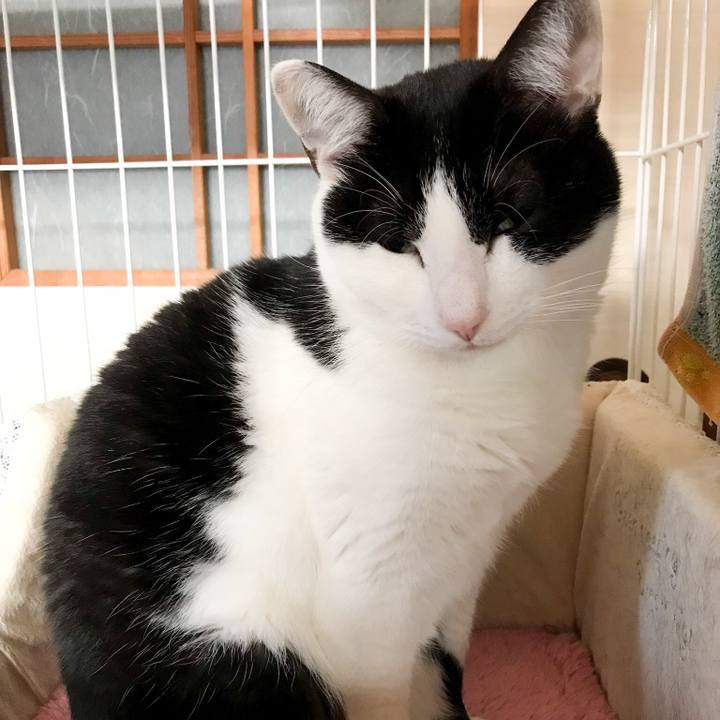 Bc1d86cd 6c51 4b47 a00b d23bdd58908b 1517272845603