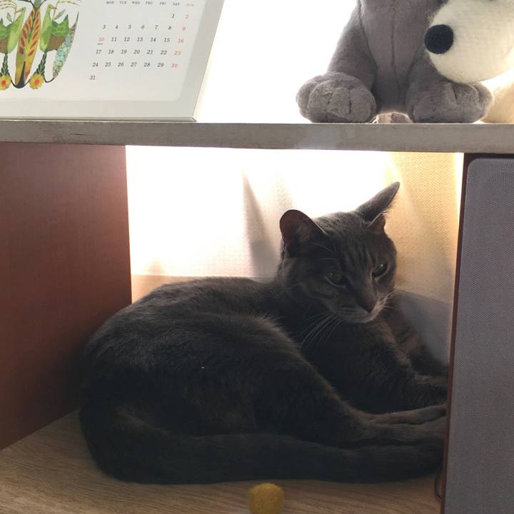 Bc1da52a c156 4298 bca2 4c35a6504658 1598677285027