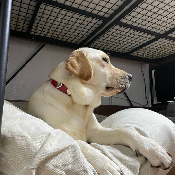 Bc1dcddb 529d 44a3 b5cf 72906ce2b1af 1667460617523