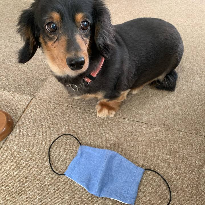 Bc1dd05a 63dc 4502 be5f c15dc9769158 1585864705082