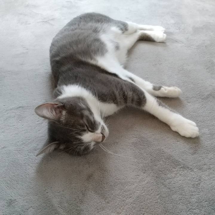 Bc1e0fd6 23be 4449 8a5f 7e119a96c4d6 1597447912377