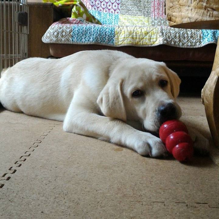 Bc1e168f 4a93 4503 b250 8eb3eb793adc 1641320421758