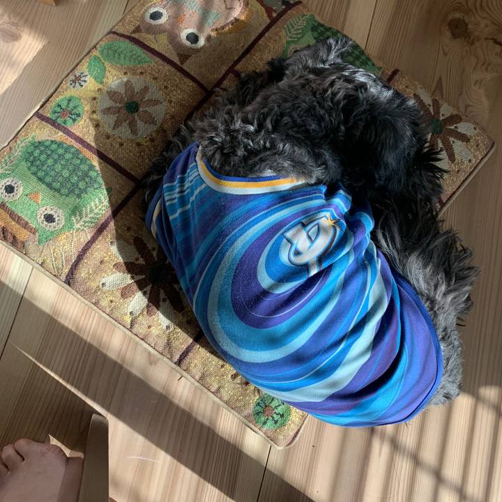 Bc1e38fe 11d9 47ab bf85 42cf43e3502c 1611111979670