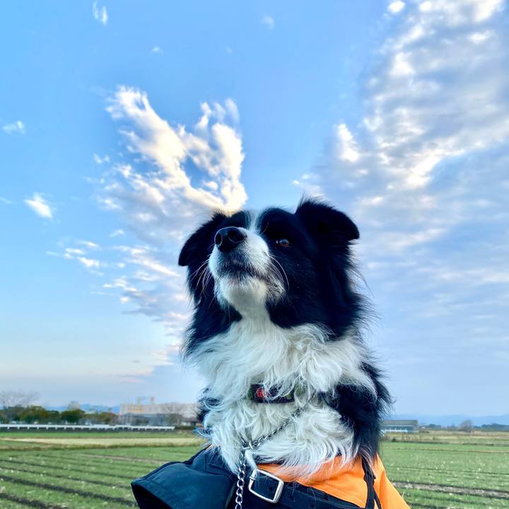 Bc1e3bcc 8ebe 484e 82a4 68579cf177a1 1609803486990