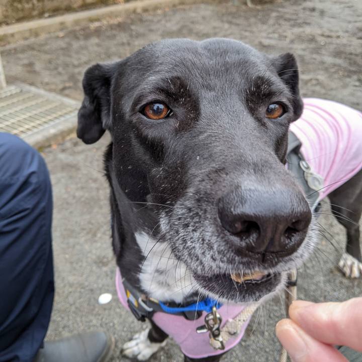 Bc1e6e8f 6f41 4f48 8080 ffc452b658b9 1645232761709