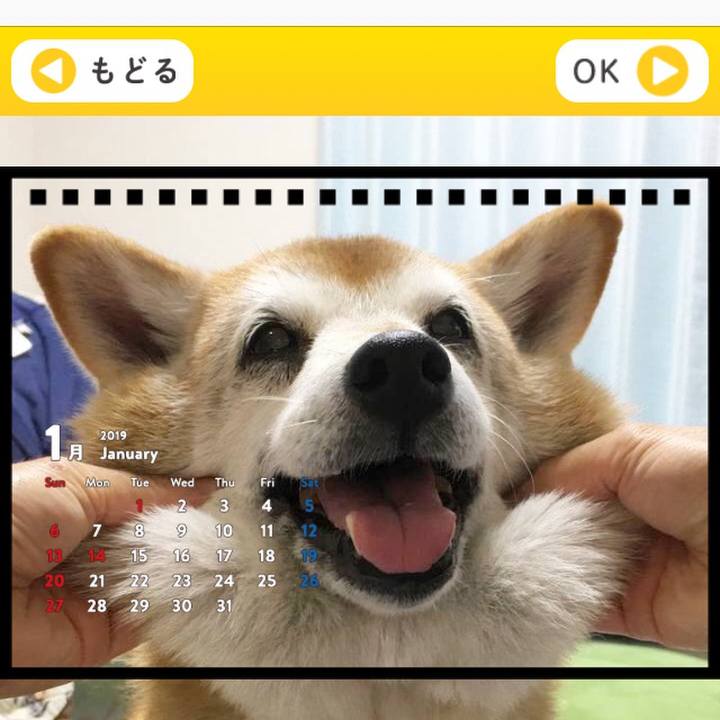 Bc1ea64b cb54 4480 be8f 424c06e24f85 1541634661120