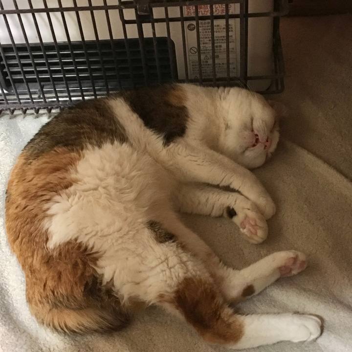 Bc1ec707 e347 4899 8ec5 66ef7afb9694 1642146459872