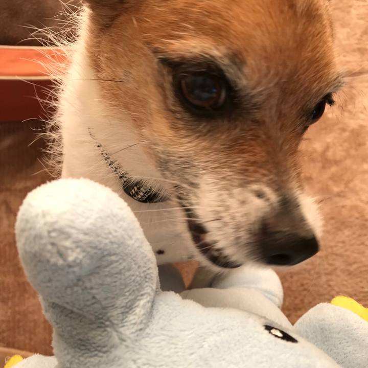 Bc1ed6fb f0ba 4859 82e3 0a8247aa9e1d 1548029389326