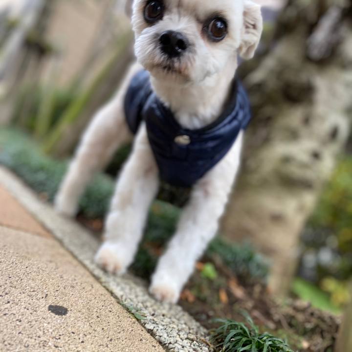 Bc1ed8ca 9eb2 461f b1df 2c4e18725f08 1576580091876