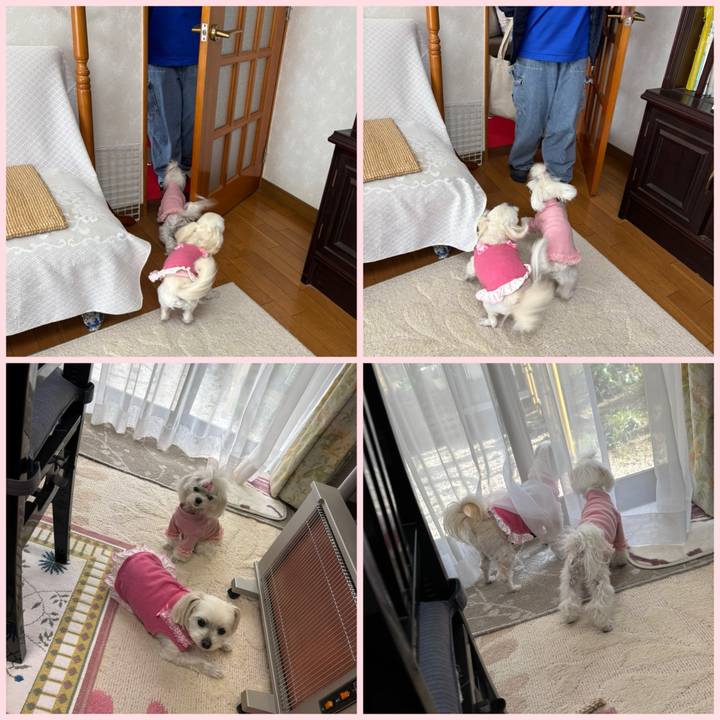 Bc1eef25 46c7 4371 aa43 7630f79cd672 1743332066557