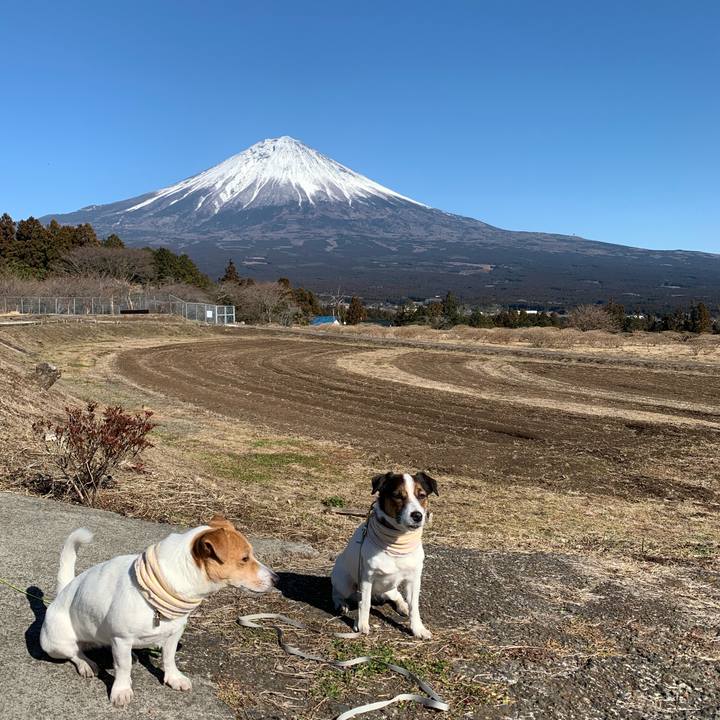 Bc1f1a00 f100 4696 8d8e e8e843cf1a7f 1612596372638