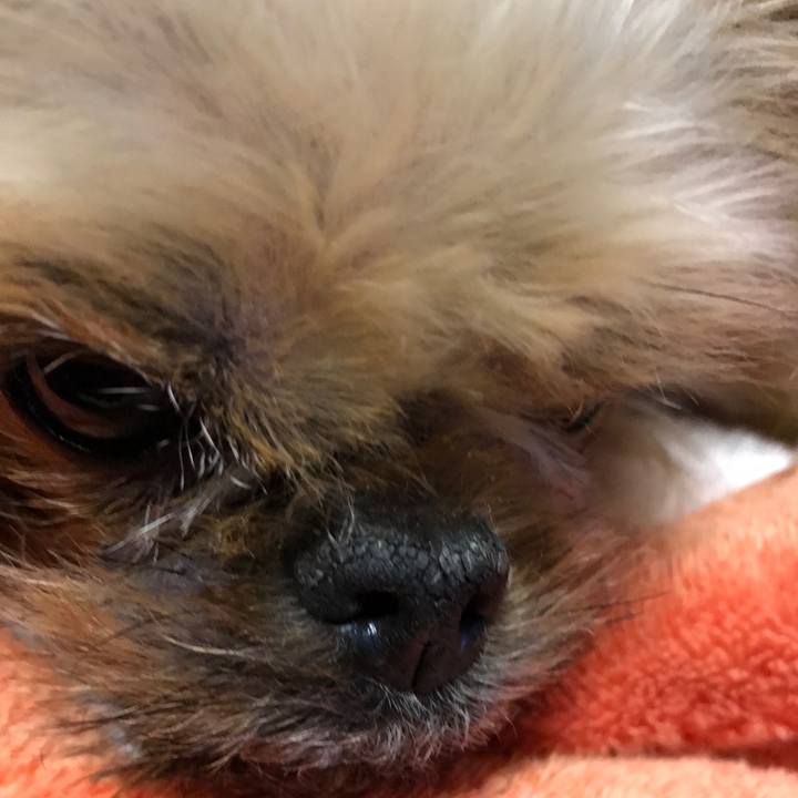 Bc1f4ad7 3f19 4c47 afb7 74ad1bdad587 1520159528556