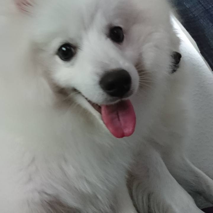 Bc1f4d37 3c9d 4a62 af5b 04aab8d478eb 1558499045431