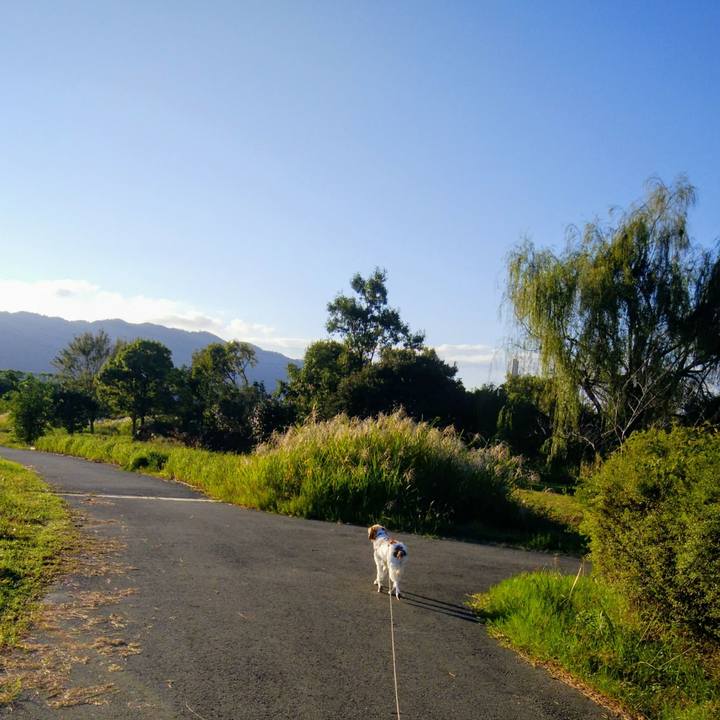 Bc1f5420 3c98 4b22 8e2f 33422de47313 1538958344071