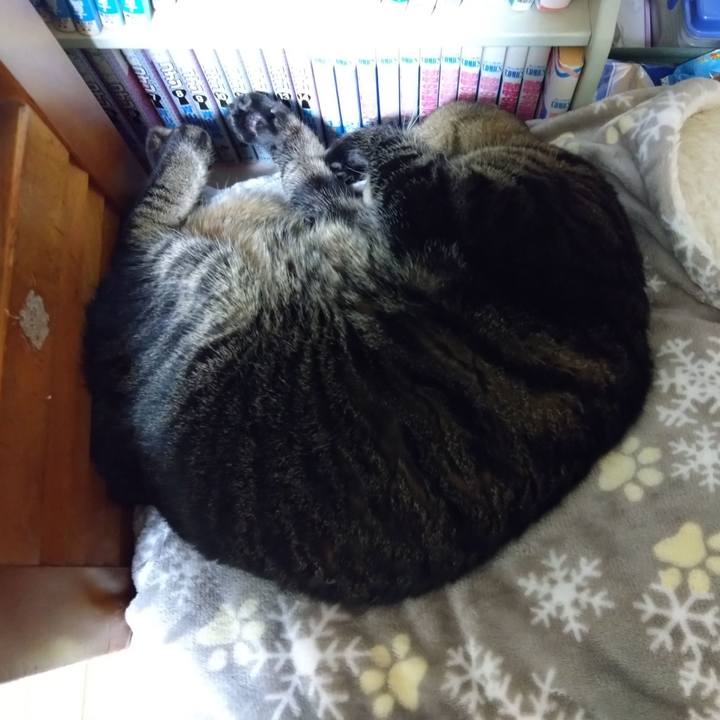 Bc1f9a9d f27d 4494 b0b7 8cf448a351b8 1764167992038