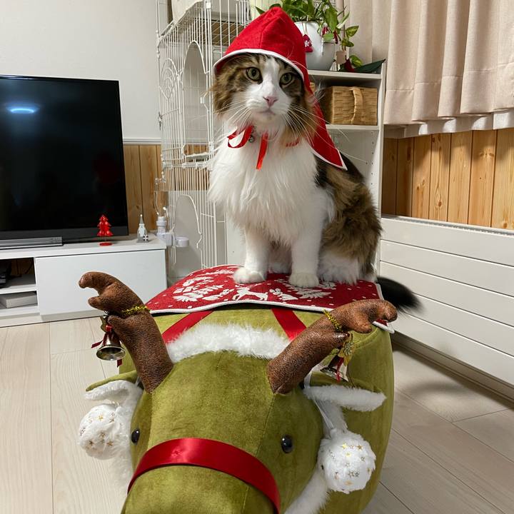 Bc1fa340 8137 4234 bd24 69fa7b990583 1671914865301