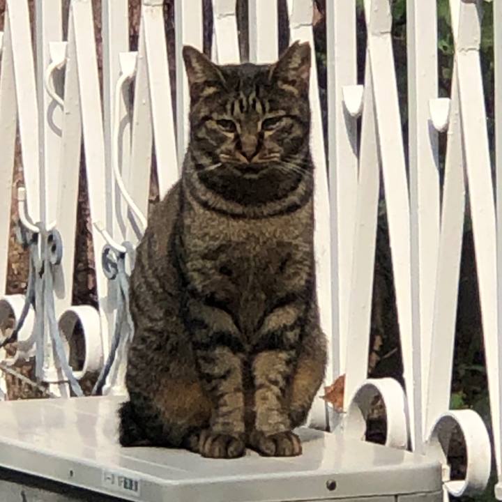 Bc1fd5d6 7591 4ba7 9886 f5e900901abb 1572797433946