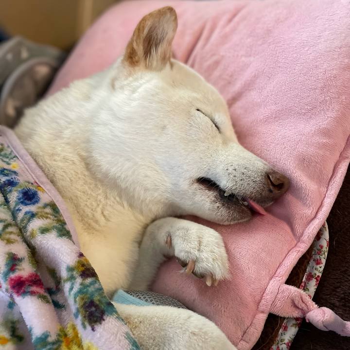 Bc200152 1c3b 46f9 9842 0f9a8e62bf18 1647229335686