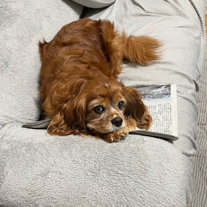 Bc202c8b 8d4a 4a79 a10b ad06f0396806 1731623278793