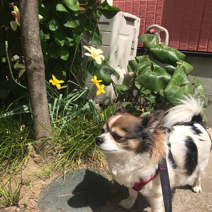 Bc2036d0 3677 4eeb a76a 77e20154a9c2 1649817715248