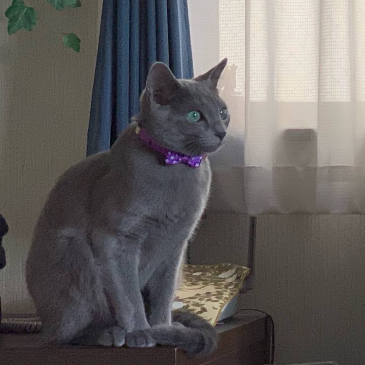 Bc206533 9f34 49de 987d 4802c7d93407 1574998047305