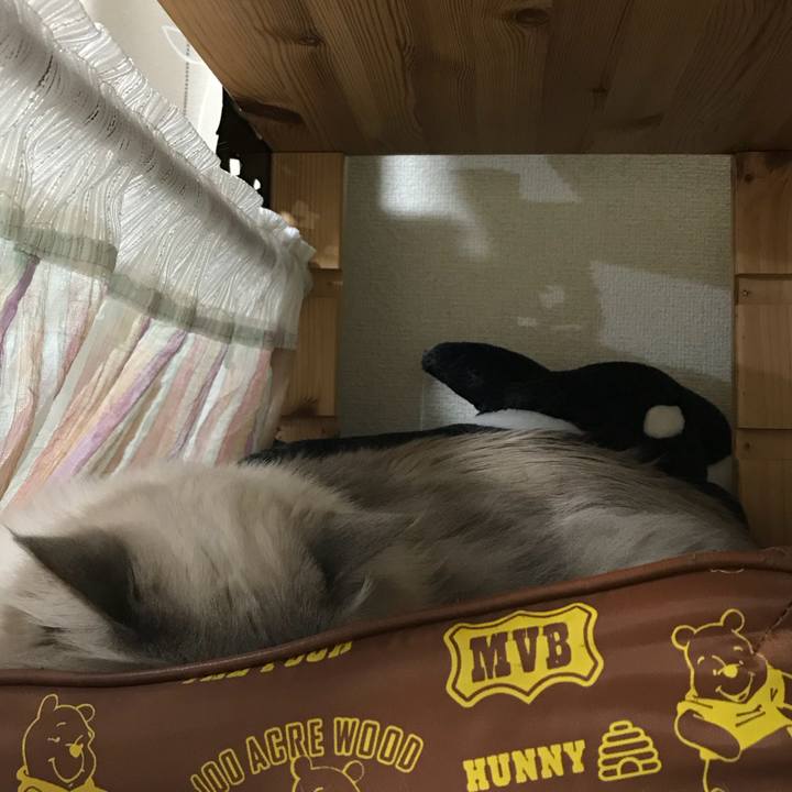 Bc2083b3 57ac 4da9 adc6 1b557c5896b3 1511693993650