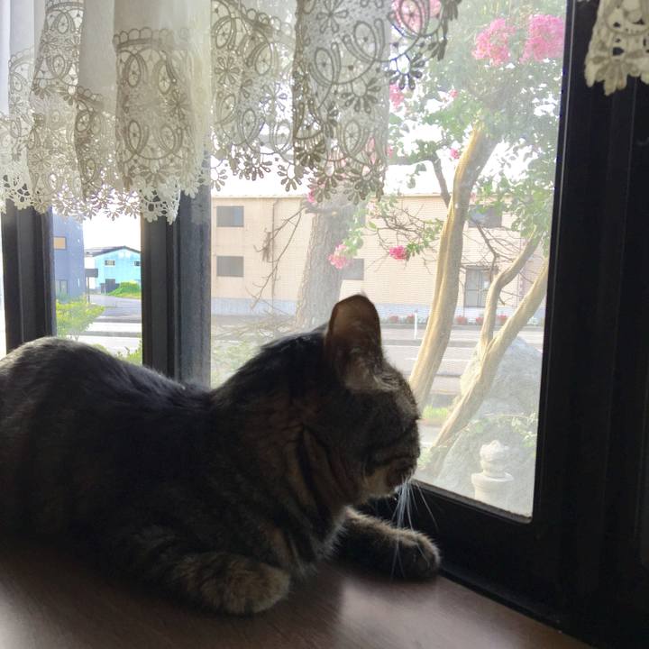 Bc2090dc 80ae 4428 b68c 6a8f2c3c3fc5 1572563199717