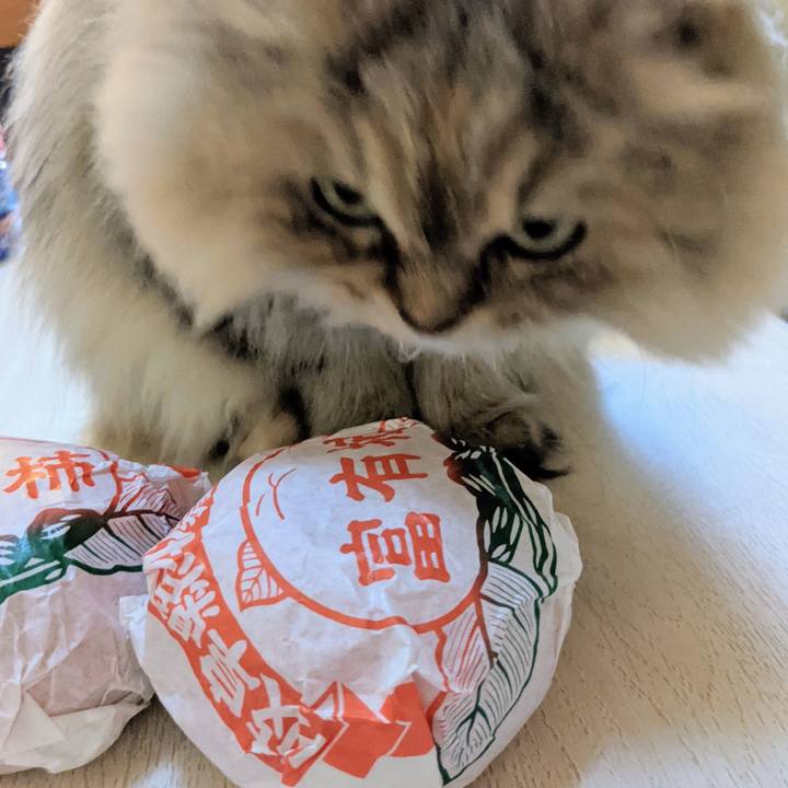 Bc20a426 5170 4b62 a611 1cdd5a42d655 1637119483087