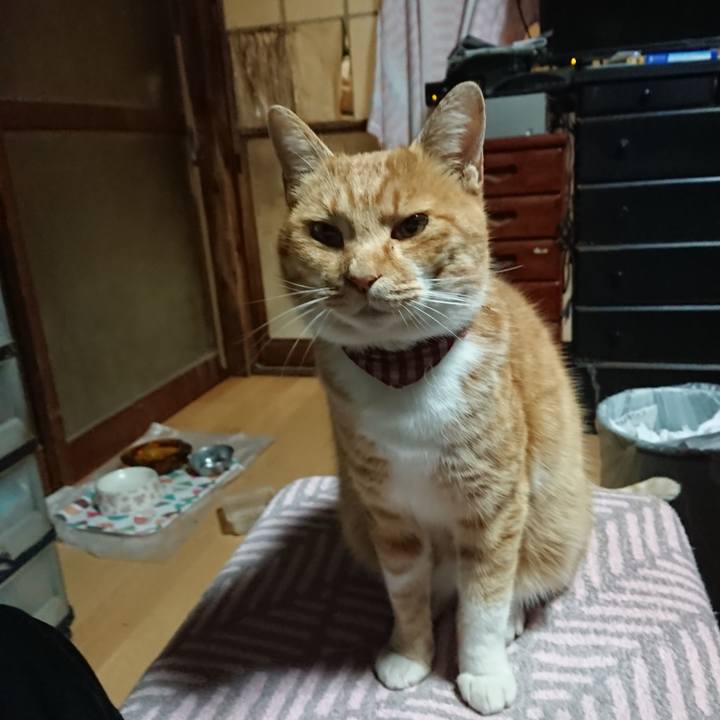 Bc21061d 8ba6 4e5d af6a 2c83e34ca170 1605387974853