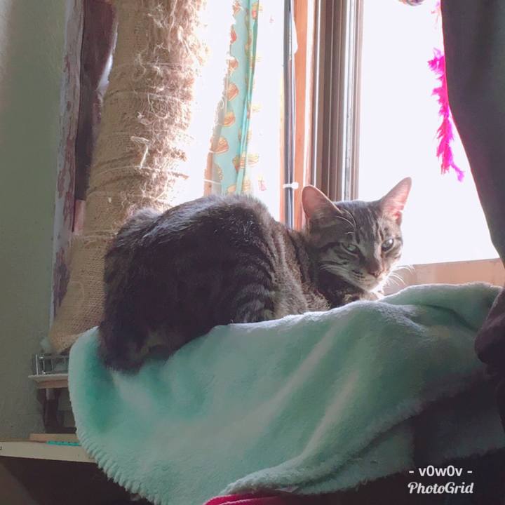 Bc2124c8 535f 47da bde2 b2f0577661d4 1547079401361