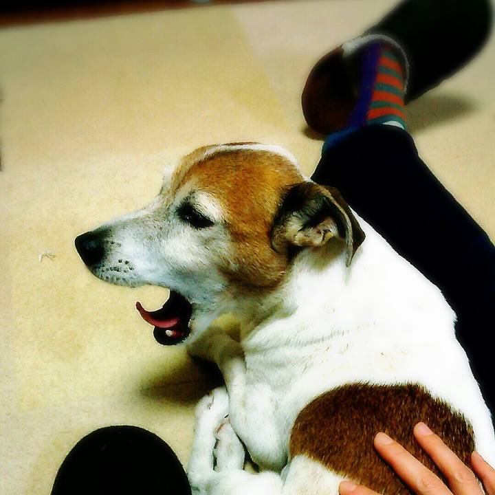 Bc21256d 5bac 4083 b9da 08c32031350f 1512916739765