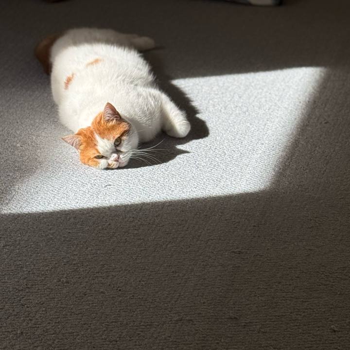 Bc213918 0952 4fc0 963d 96e2e9cf9837 1762176062572