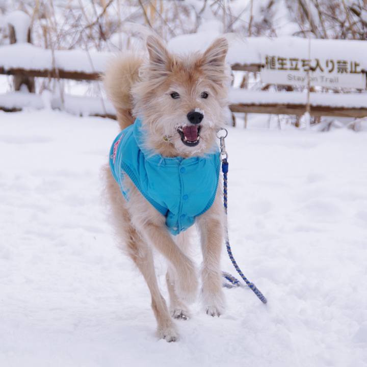 Bc213ec0 0ddb 4e75 b662 9adc41b76532 1578039455279