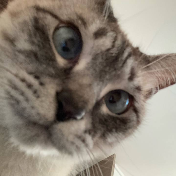 Bc216f9b 9ab7 4617 8dab 9fb110004315 1650097229675