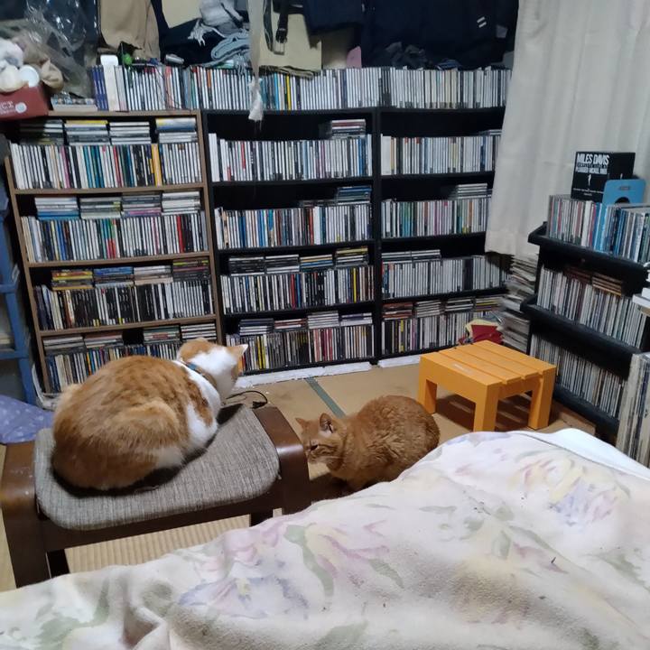 Bc2175f2 6dbe 4d56 ba76 135f12189cfd 1734387484831