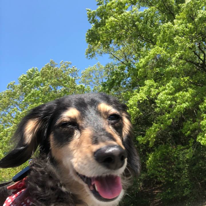 Bc217a71 5f47 4465 989b 6639fd79697f 1587966647999