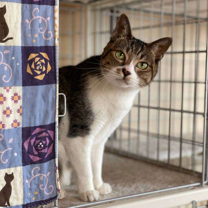 Bc2183ae cce5 43a2 97db 543b345ddbd1 1605058085762