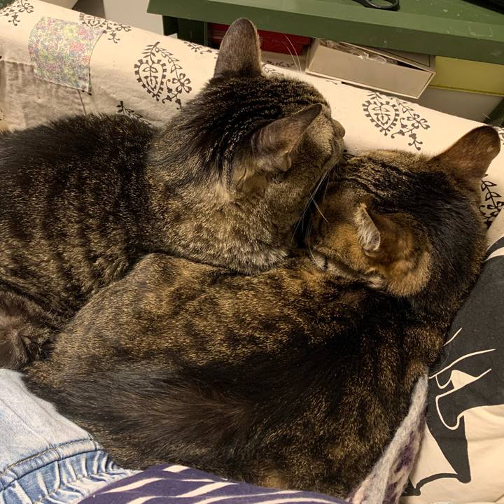 Bc21d5fb c200 447a bf55 6c3d923825d4 1761492382262