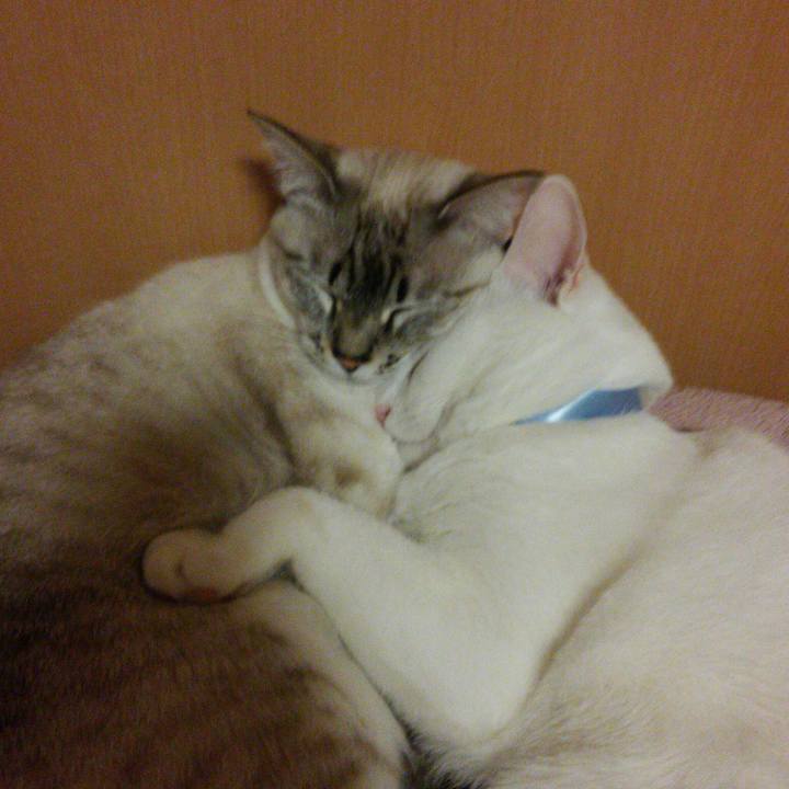 Bc21fbde 6119 4677 8c34 24a70f59770a 1511104164784